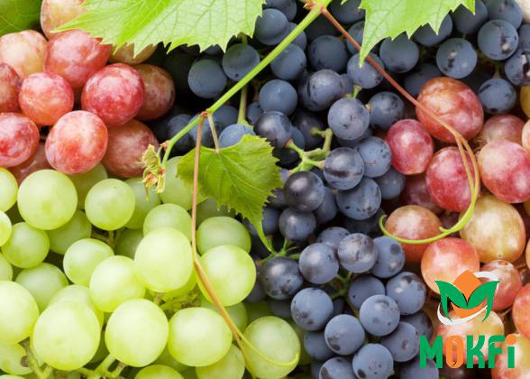 What You Need to Know about Organic Grape