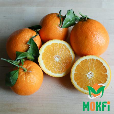 How Do You Know When a Navel Orange Is Ripe?