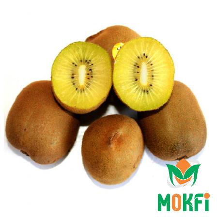 Unique  Nutritional Values of Sungold Kiwis