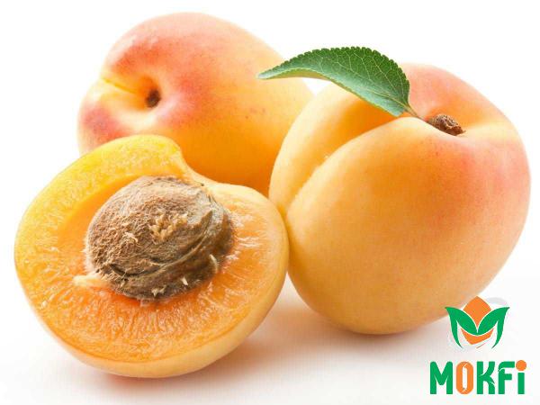 Direct Supply of Yellow Apricots