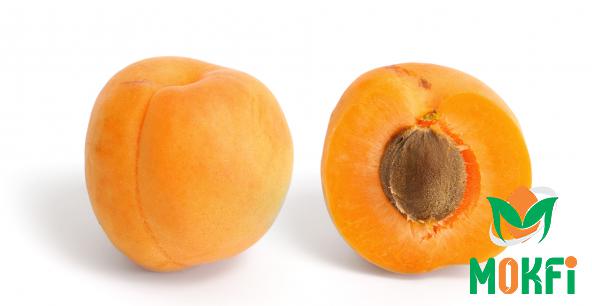 Direct Purchase of Apricot Fruit