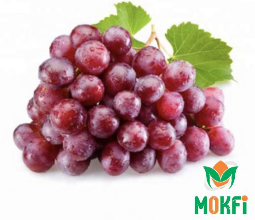 Direct Suppliers of Red Grapes