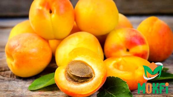 9 Health  Benefits of Yellow Apricots
