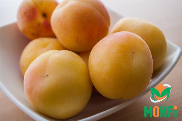 Ten Things Should Be Known about Apricot Fruit