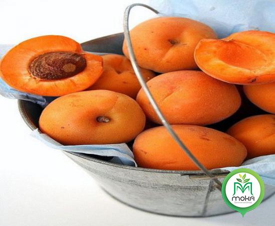 Ten Things You Should Know About Fresh Apricots