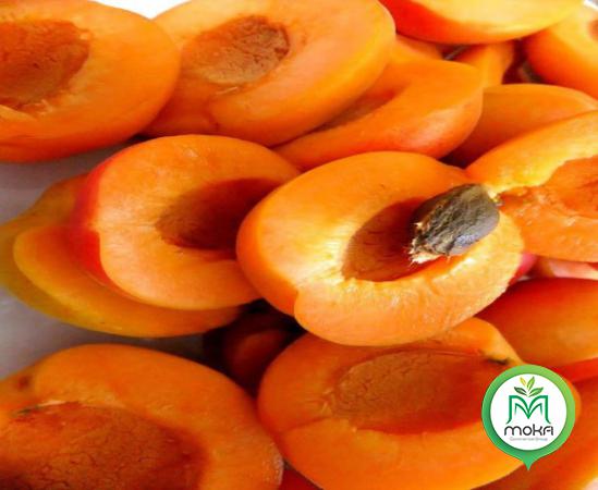 Special Sale of Fresh Apricots