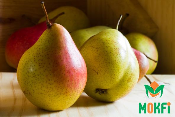 Exporting Companies of the Best Pears