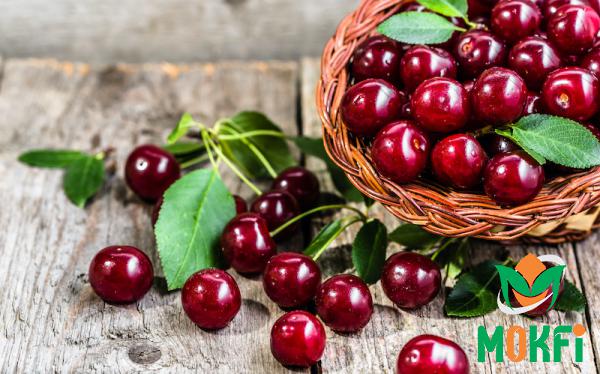 Distribution Centers of Persian Sour Cherries