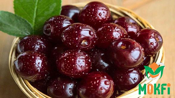 Everything about Persian Sour Cherries