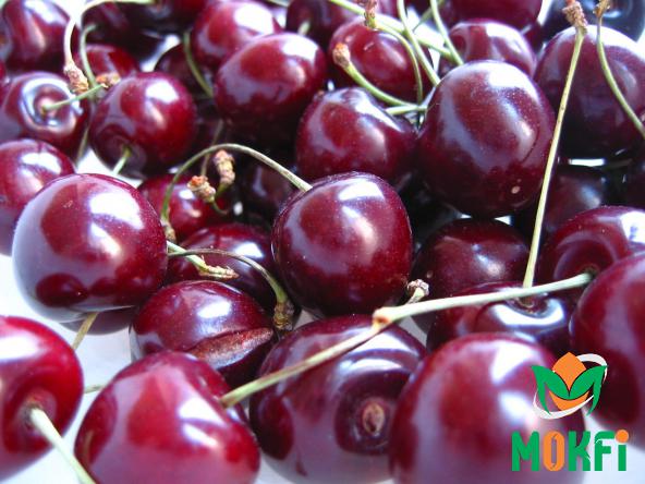 What Cherries Do Not Have Seeds?