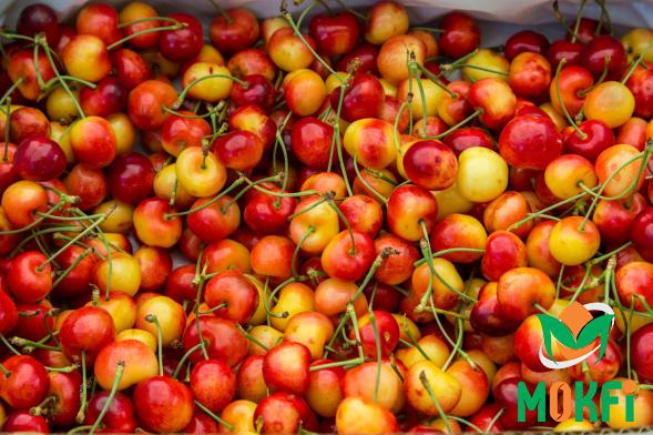 Nutrition Tips of Rainier Cherries