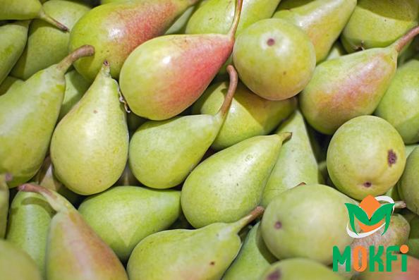 7 Types and Varieties of Pears
