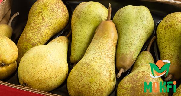 Buying the Best Kind of Pear at Cheap Price