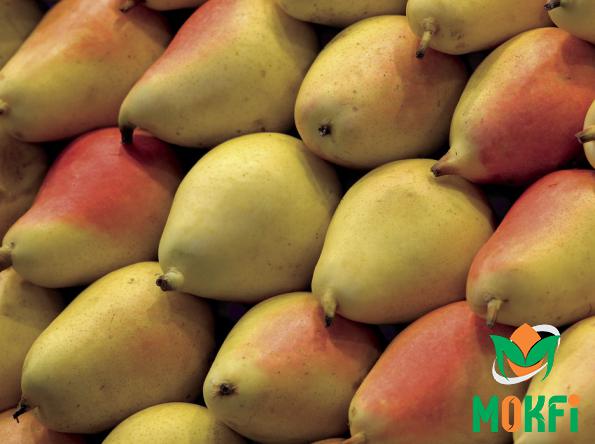 The Best Pears for Export