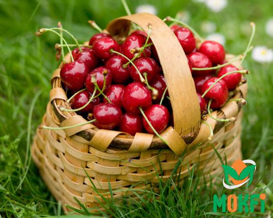 Organic Red Cherries with Best Quality to Consume