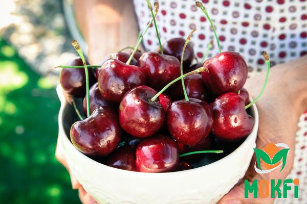 6 Important Types of Sweet Cherries