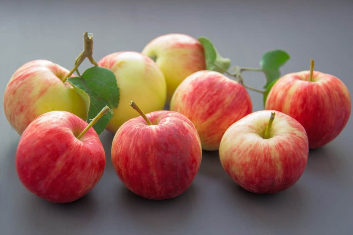 Distributors red apple fruit