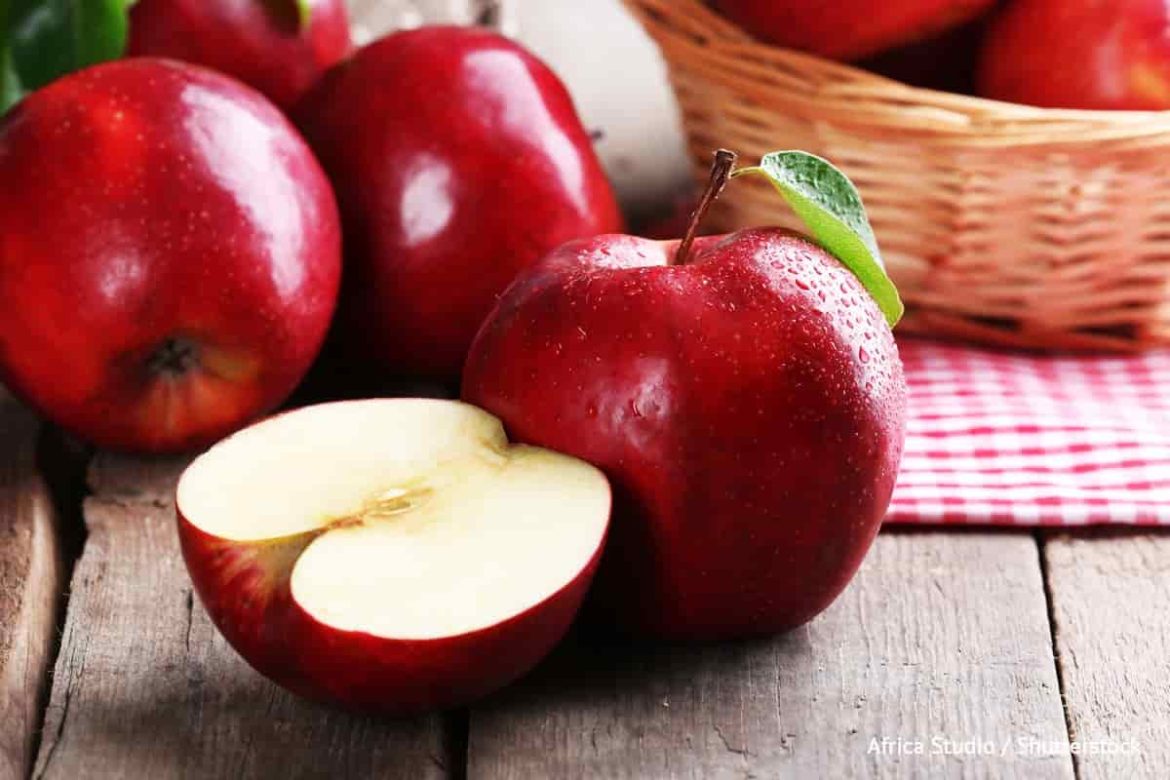 Price list for apple fruit