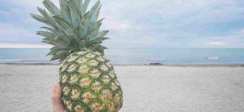  thai pineapple Purchase Price + Sales In Trade And Export 