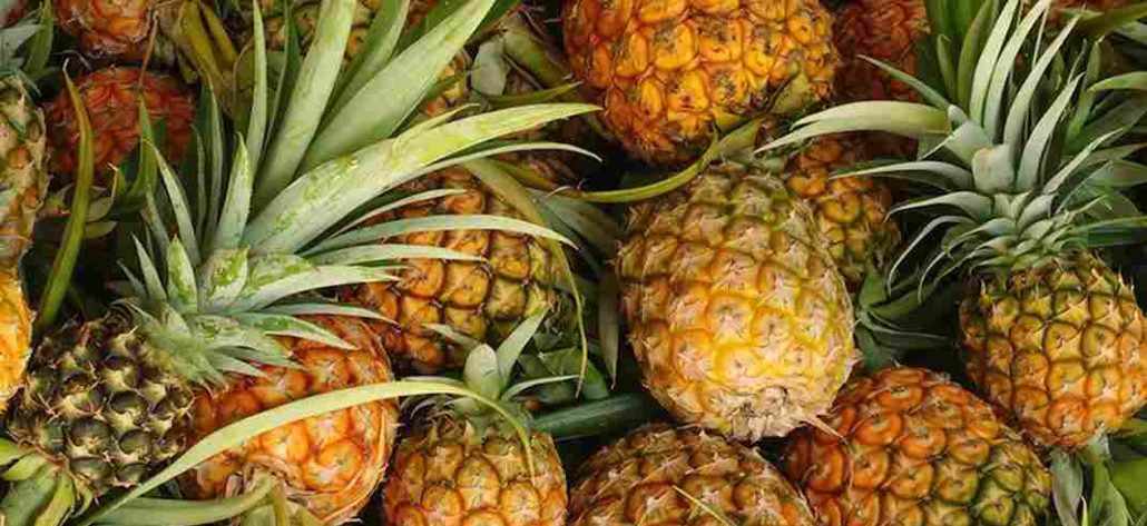  thai pineapple Purchase Price + Sales In Trade And Export 