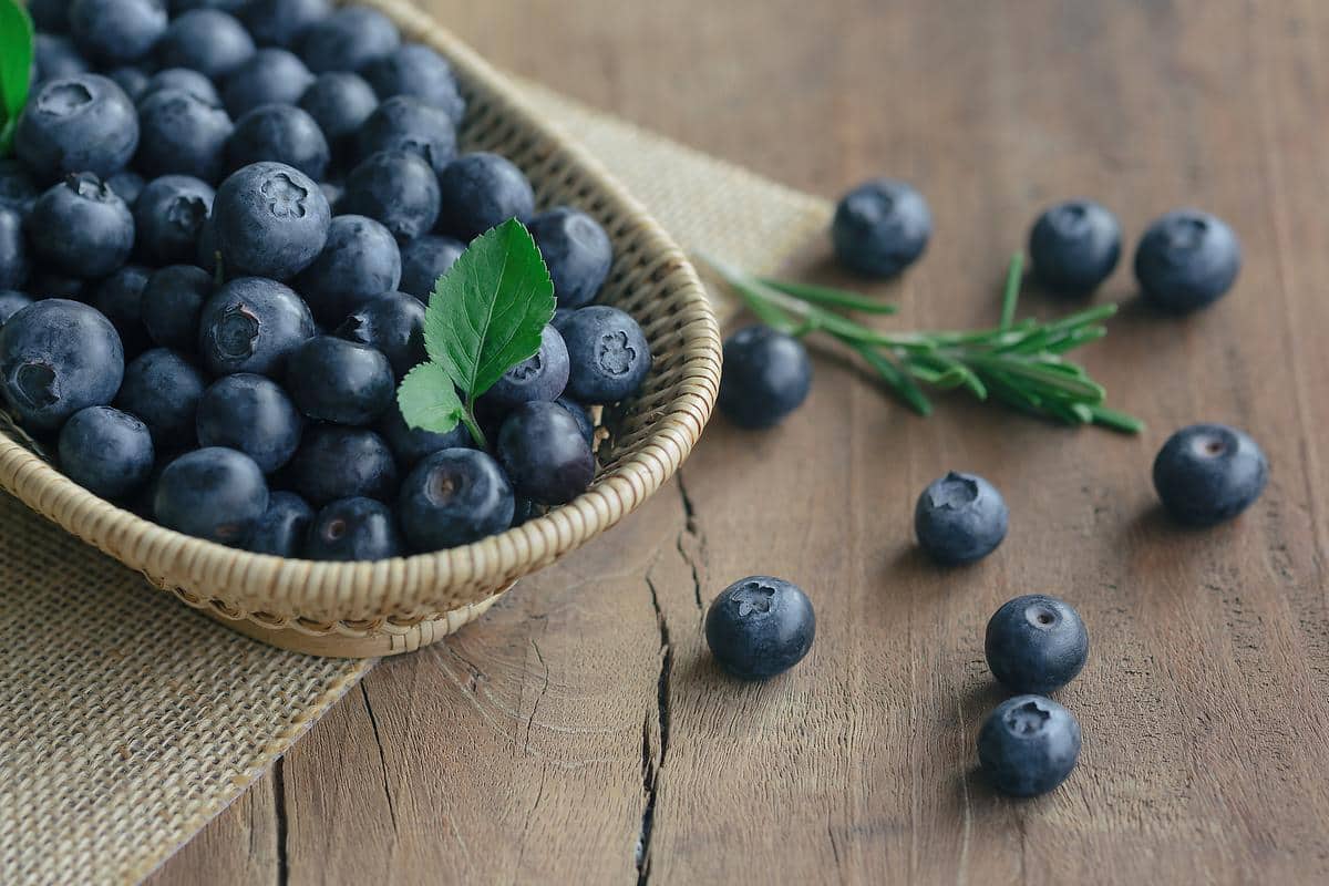  Blueberry Dried Fruit (Blue Cranberry) Vitamin C Fiber Potassium Source 