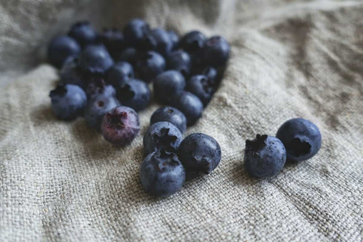  Blueberry Dried Fruit (Blue Cranberry) Vitamin C Fiber Potassium Source 