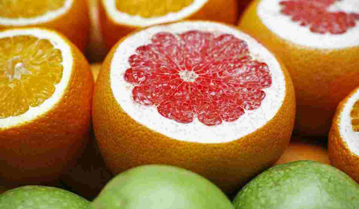  Buy the best types of fresh gape fruits at a cheap price 
