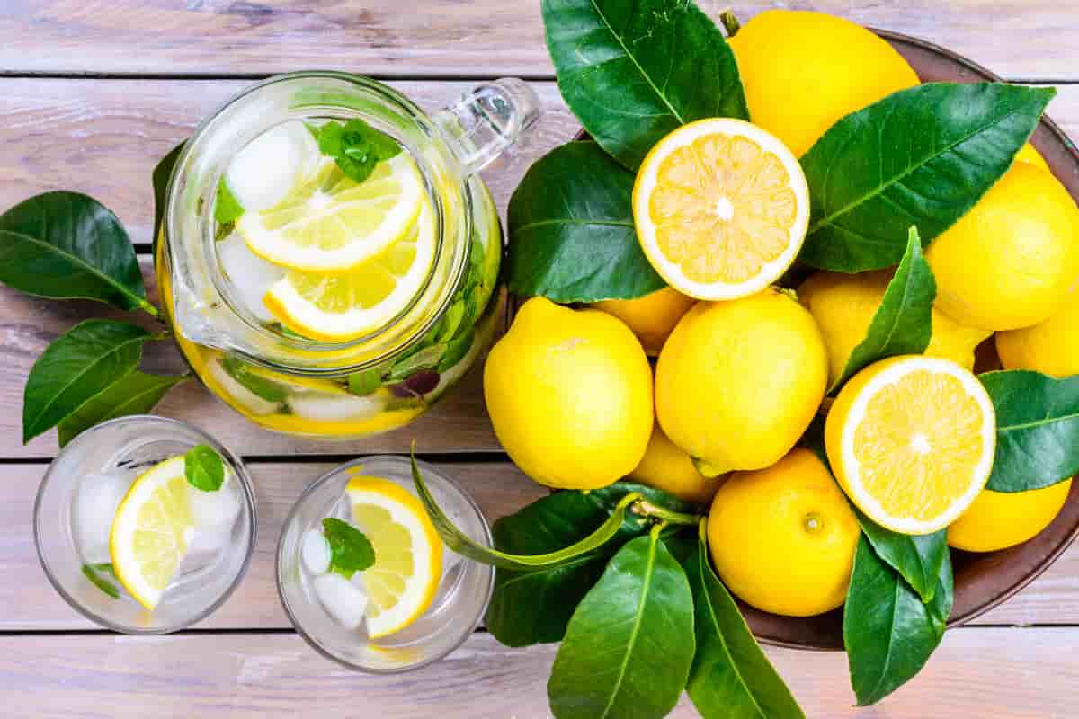 Getting To Know sour lemons +The exceptional price of buying sour lemons 