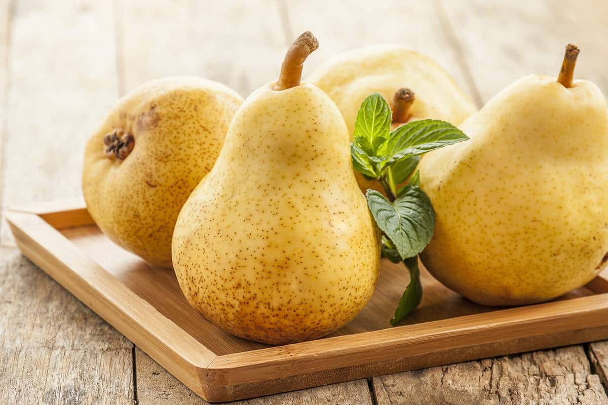  Price and Buy organic fresh pear fruit + Cheap Sale 