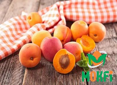 Buy apricot edible fruit types + price