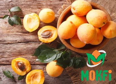 Buy black apricot fruit types + price
