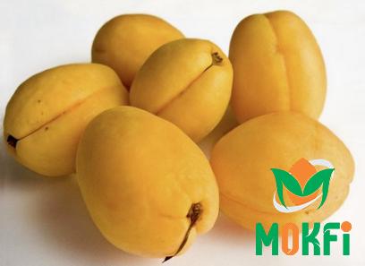 Buy african apricot fruit types + price