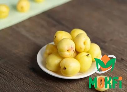 Buy the latest types of cherry apricot at a reasonable price