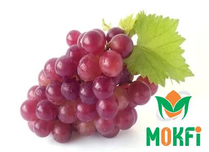 Buy big moochie grape types + price