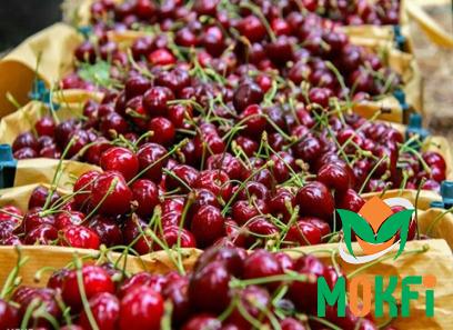 Buy the latest types of fresh cherry at a reasonable price