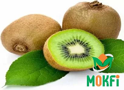 Buy green red kiwi fruit at an exceptional price