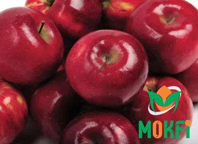 Buy african star apple fruit at an exceptional price
