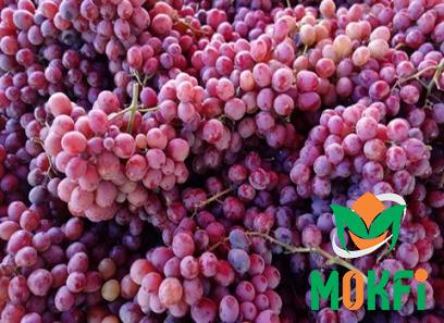The price and purchase types of burmese grape fruit