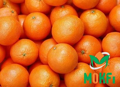 Buy the latest types of orange fruit in spanish