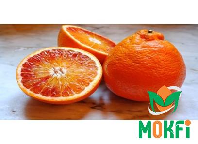 Buy the latest types of tasty orange at a reasonable price