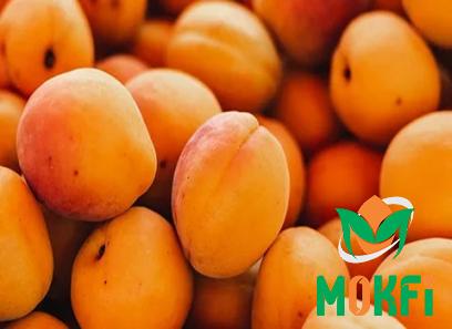 Buy the latest types of blenheim apricot at a reasonable price