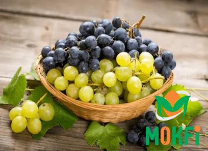 Buy the latest types of black grape at a reasonable price