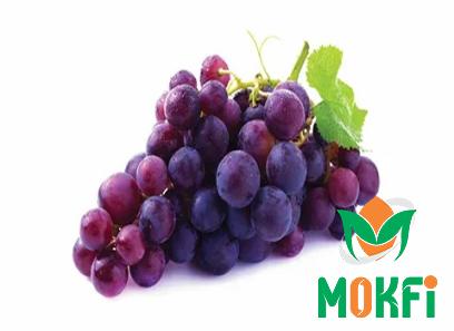 Buy the latest types of concord grape at a reasonable price