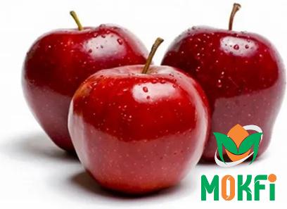 Specifications african apple fruit + purchase price
