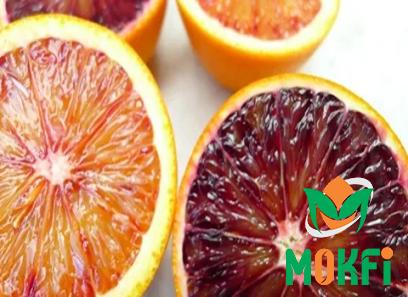 Buy the latest types of blood orange fruit