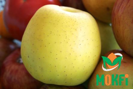 green fruit apple fruit specifications and how to buy in bulk