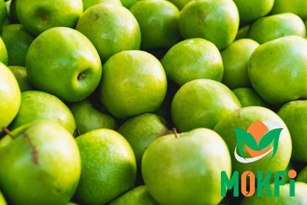 little green apple specifications and how to buy in bulk